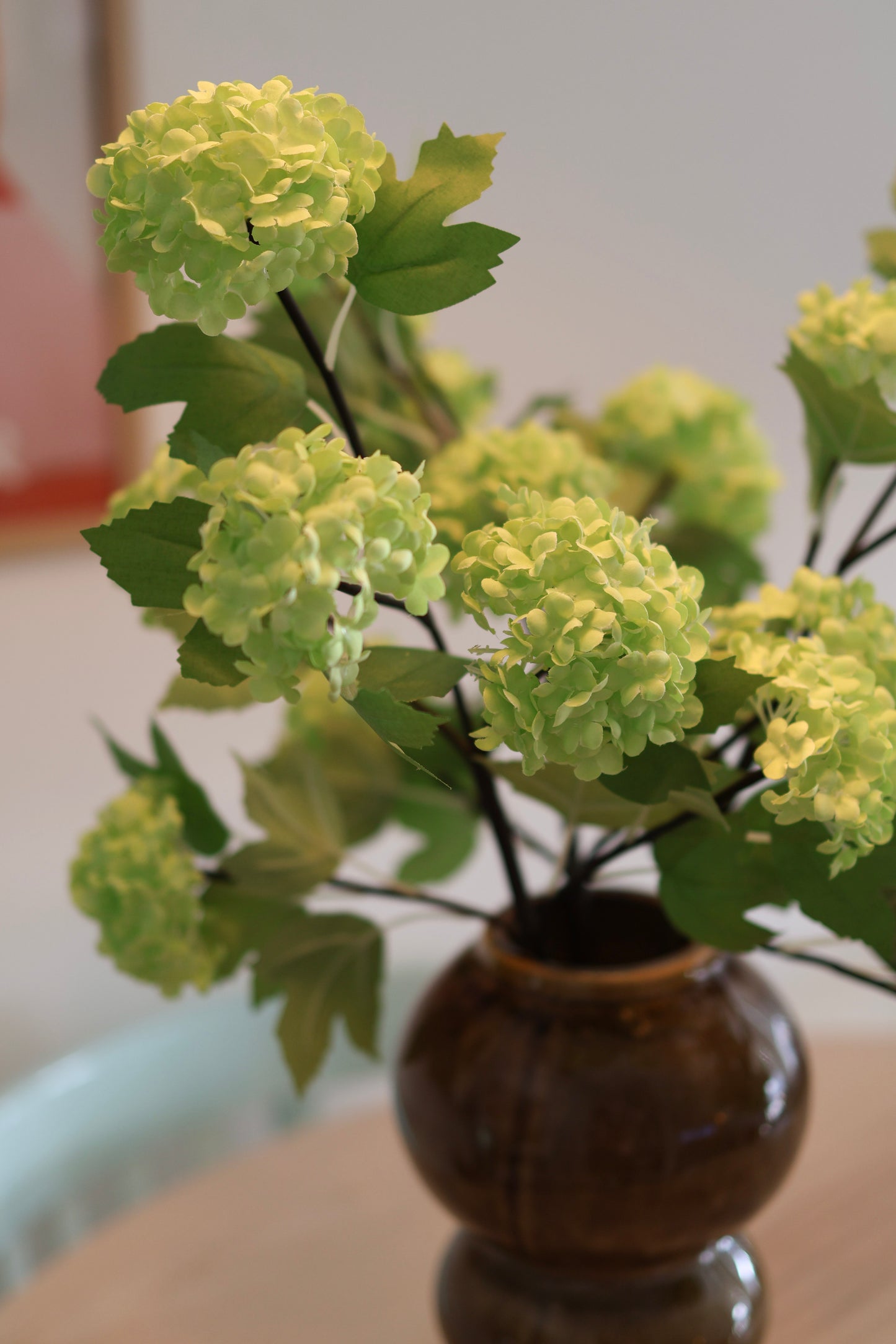 Viburnum takken